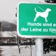 Fotogallerie: Wintereinbruch in Lienz
