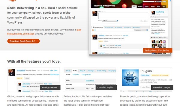 Aus WordPress ein Social Media Network machen