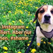 Der dümmste Instagrammer erntet die dicksten Fake-Likes