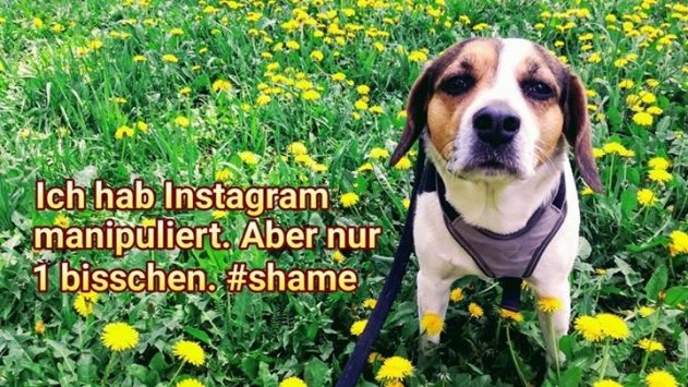Der dümmste Instagrammer erntet die dicksten Fake-Likes