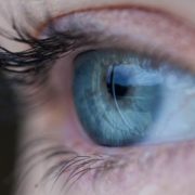 Eyetracking-Studie zur Wahrnehmung von Google AdWords
