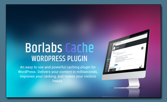 Borlabs Cache WordPress Plugin